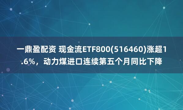 一鼎盈配资 现金流ETF800(516460)涨超1.6%，动力煤进口连续第五个月同比下降